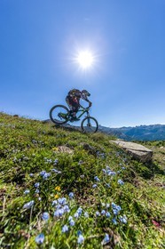 Vtt