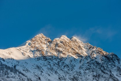Auron