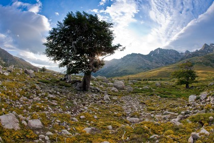 GR 20 Nord
