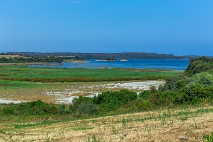Etang d'Urbinu