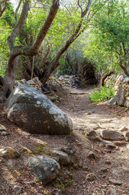 Monaccia d'Aullène
