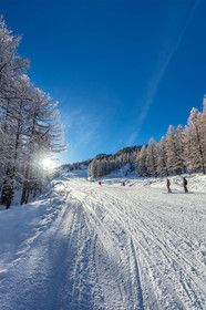 Isola 2000
