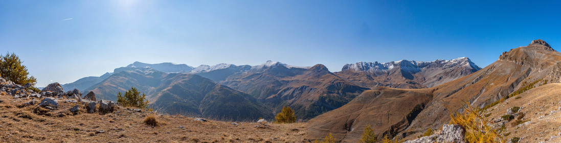 Auron