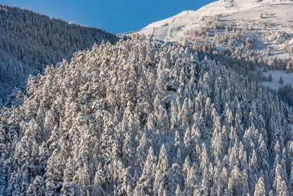 Auron