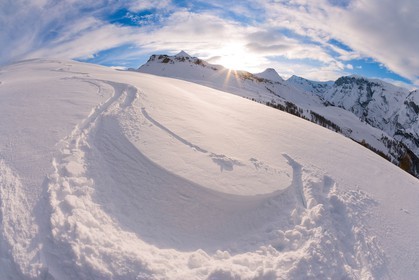 Auron