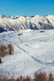 Auron