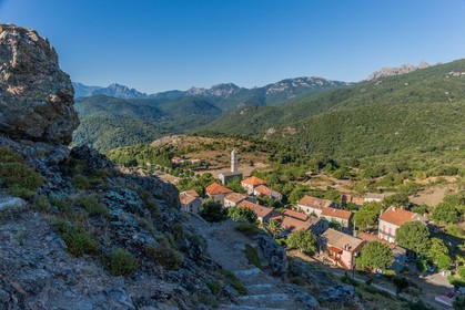 Carbini