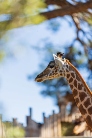 Parc animalier de la Barben