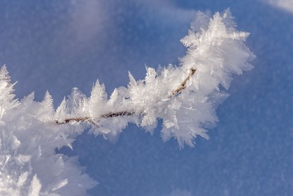 Cristaux de neige