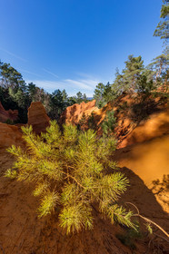 Roussillon