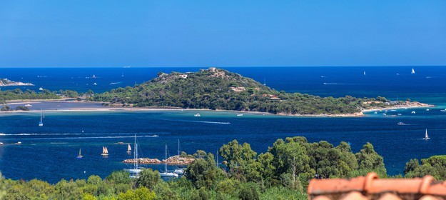 Benedettu