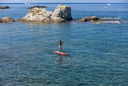 Paddle