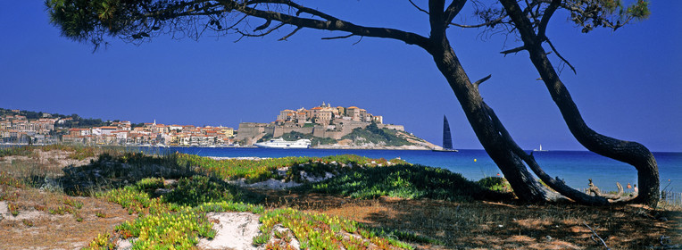Calvi