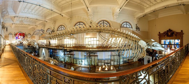 Musée Océanographique de Monaco