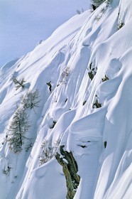 Snowboard