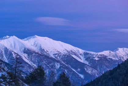 Auron