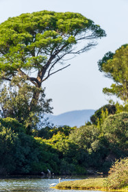 Lérins Sainte-Marguerite