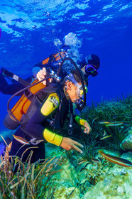 Plongée-sous-marine