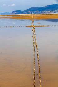 Salins d'Hyères