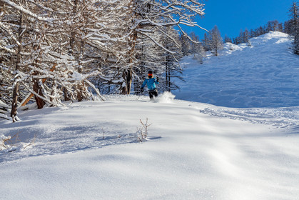 Auron
