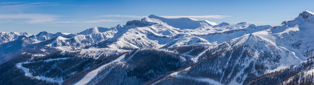 Auron