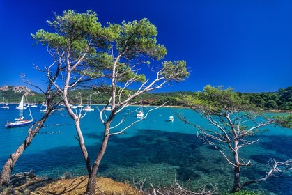 Porquerolles