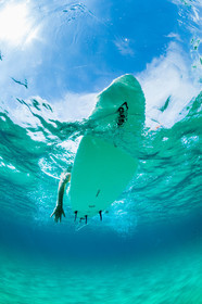 Surf