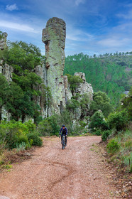Bikingman