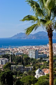 Cannes