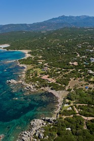 Figari