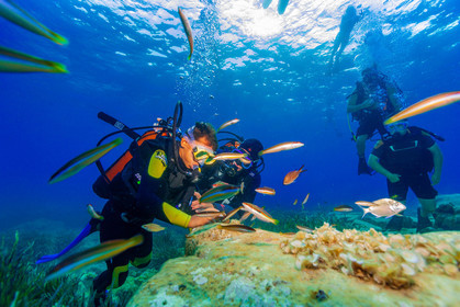 Plongée-sous-marine