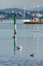 La Seyne-sur-Mer