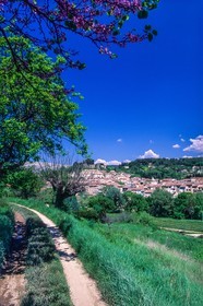 Salernes