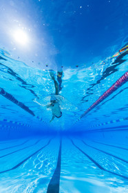 Natation