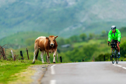 Bikingman Corsica 2019
