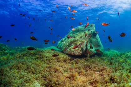 Plongée-sous-marine