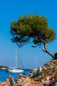 Ile St Honorat