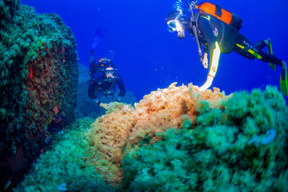 Plongée-sous-marine