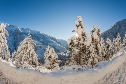 Auron