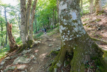 GR 20 Sud