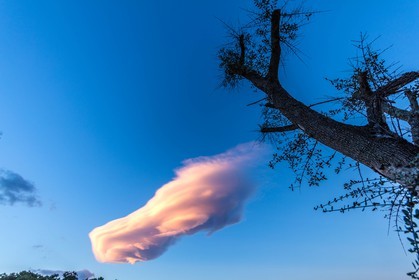 Lenticulaire