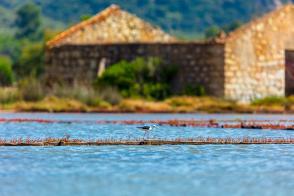 Porto-Vecchio