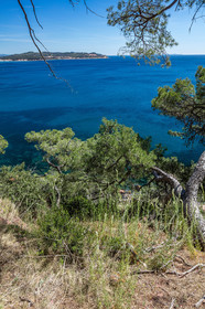 Plage de Fabrégas
