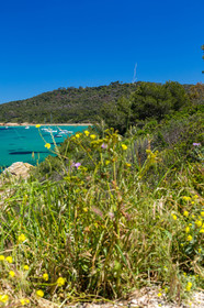 Porquerolles