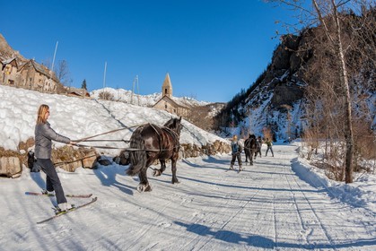 Ski joëring