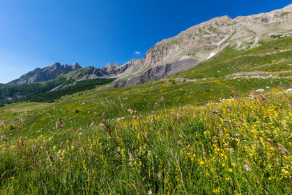 Col des Champs