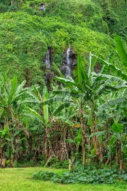 Ile de La Réunion