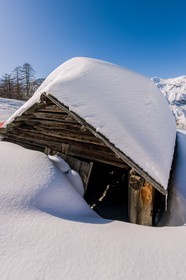 Auron