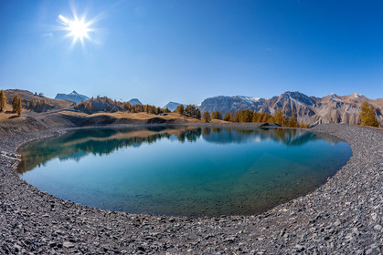 Auron