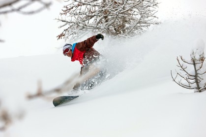 Snowboard